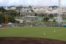 プロ野球公式戦観戦