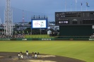 プロ野球公式戦観戦