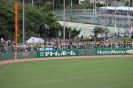 プロ野球公式戦観戦